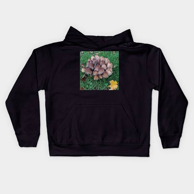 Inky-cap Mushrooms Kids Hoodie by robelf